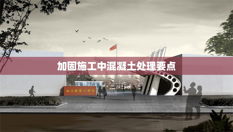 加固施工中混凝土處理要點 行業(yè)新聞 第1張