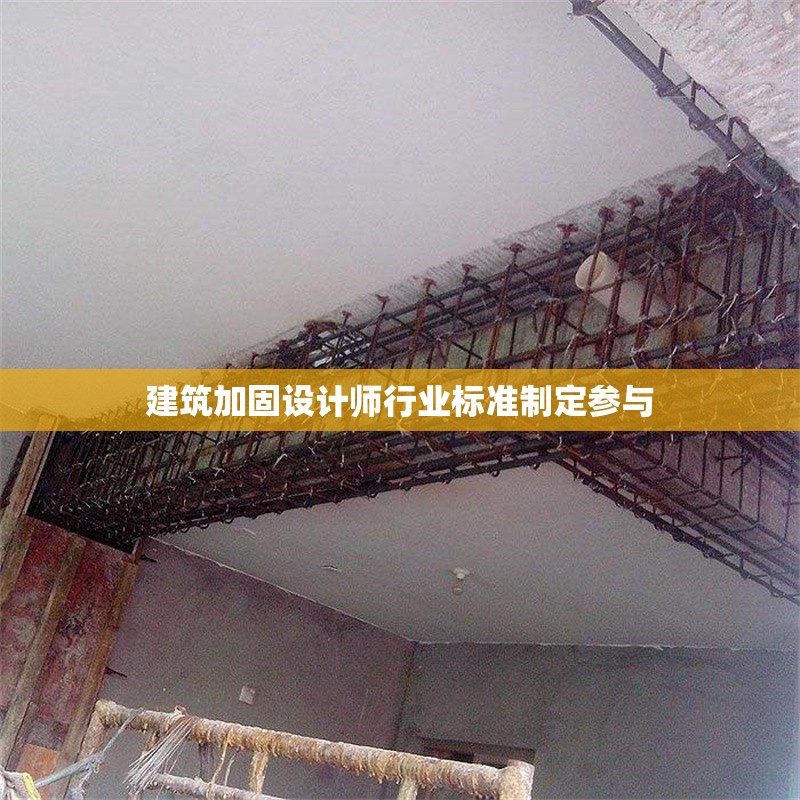 建筑加固設計師行業標準制定參與