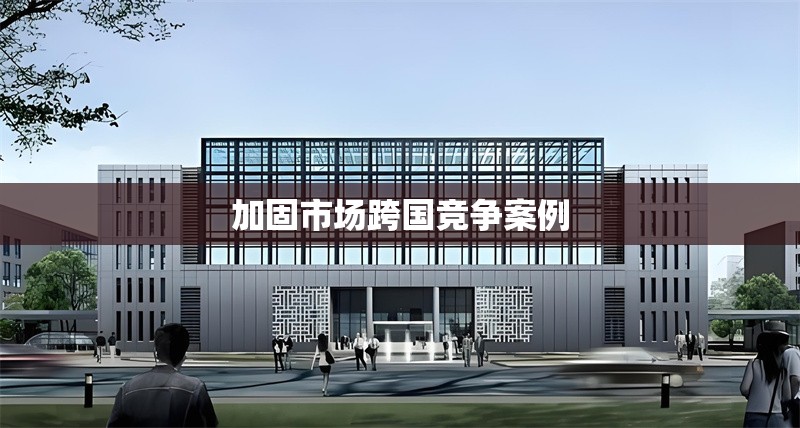 加固市場跨國競爭案例