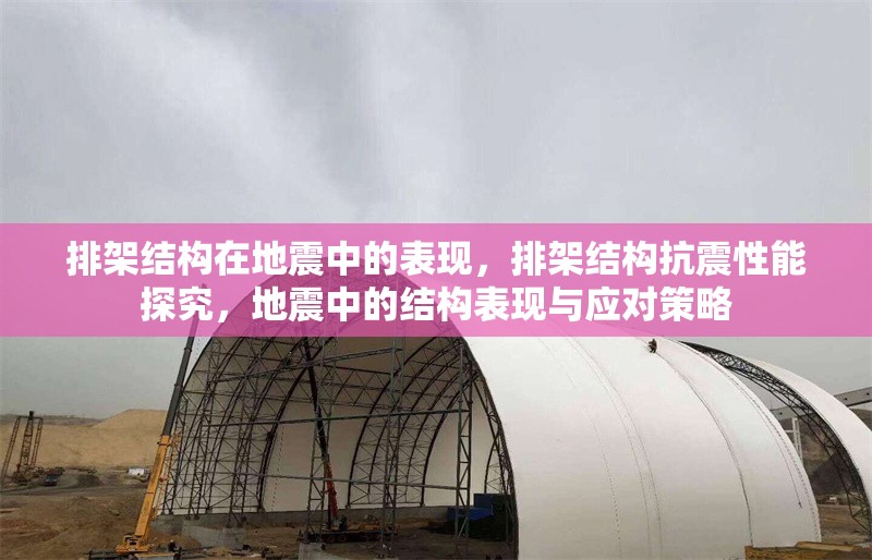 排架結(jié)構(gòu)在地震中的表現(xiàn)，排架結(jié)構(gòu)抗震性能探究，地震中的結(jié)構(gòu)表現(xiàn)與應(yīng)對(duì)策略 行業(yè)新聞 第6張