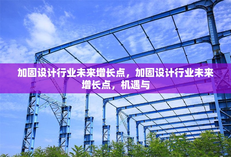 加固設(shè)計(jì)行業(yè)未來增長點(diǎn)，加固設(shè)計(jì)行業(yè)未來增長點(diǎn)，機(jī)遇與 行業(yè)新聞 第6張