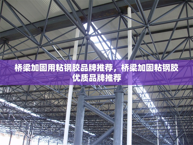 橋梁加固用粘鋼膠品牌推薦，橋梁加固粘鋼膠優(yōu)質品牌推薦 行業(yè)新聞 第6張