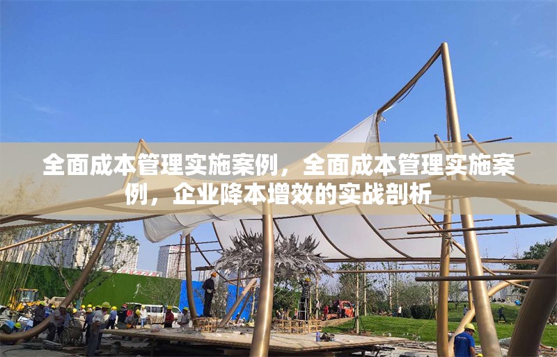 全面成本管理實施案例，全面成本管理實施案例，企業降本增效的實戰剖析，企業全面成本管理實戰案例，降本增效深度剖析