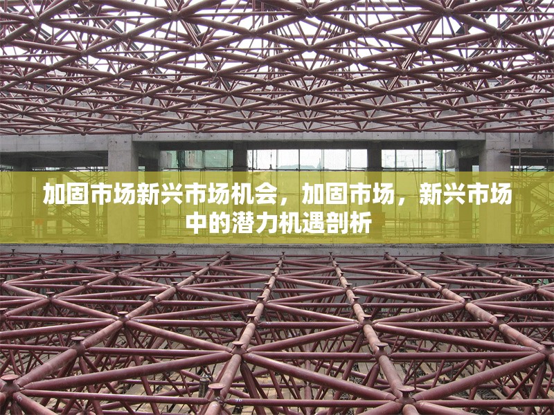 加固市場新興市場機會，加固市場，新興市場中的潛力機遇剖析 行業新聞 第6張