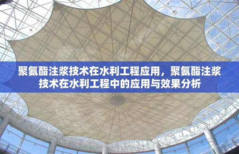 聚氨酯注漿技術在水利工程應用，聚氨酯注漿技術在水利工程中的應用與效果分析