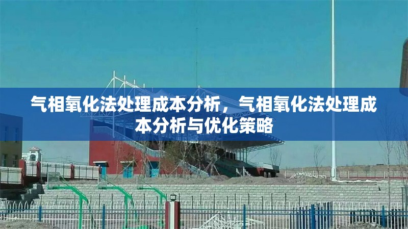 氣相氧化法處理成本分析，氣相氧化法處理成本分析與優(yōu)化策略，氣相氧化法處理成本分析與優(yōu)化策略