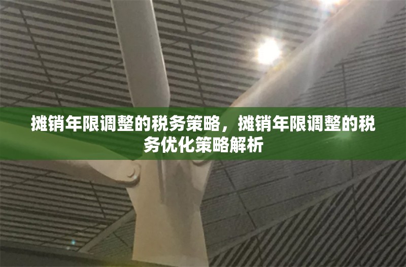 攤銷年限調(diào)整的稅務(wù)策略，攤銷年限調(diào)整的稅務(wù)優(yōu)化策略解析