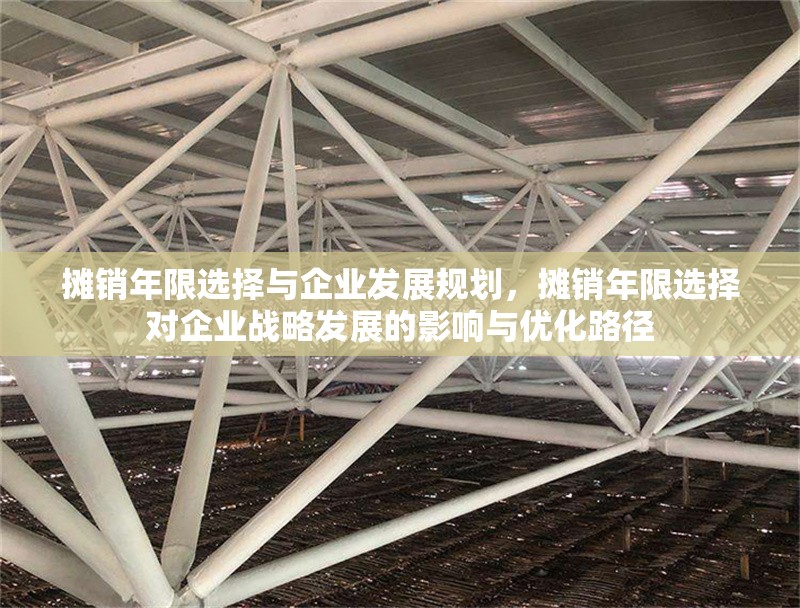 攤銷年限選擇與企業發展規劃，攤銷年限選擇對企業戰略發展的影響與優化路徑