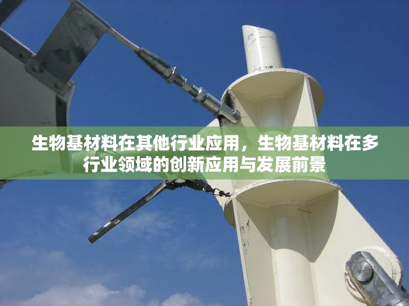 生物基材料在其他行業(yè)應(yīng)用，生物基材料在多行業(yè)領(lǐng)域的創(chuàng)新應(yīng)用與發(fā)展前景
