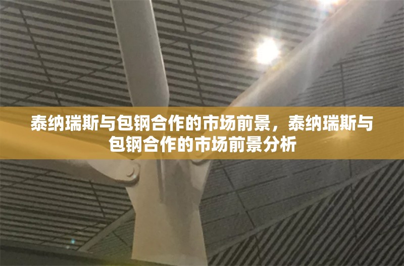 泰納瑞斯與包鋼合作的市場前景，泰納瑞斯與包鋼合作的市場前景分析，泰納瑞斯與包鋼合作的市場前景分析