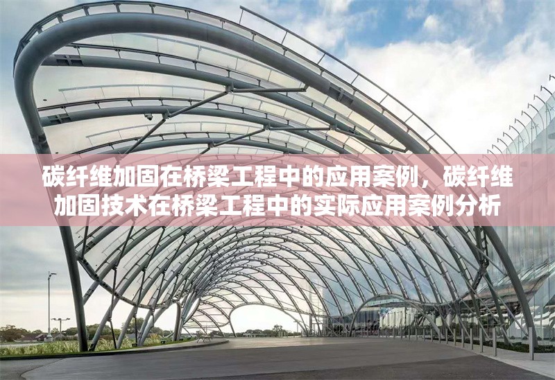 碳纖維加固在橋梁工程中的應用案例，碳纖維加固技術在橋梁工程中的實際應用案例分析