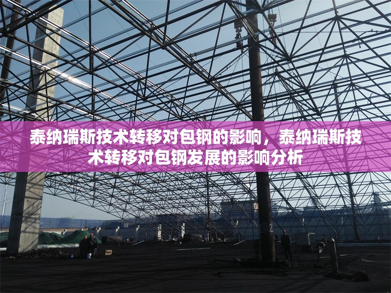 泰納瑞斯技術轉移對包鋼的影響，泰納瑞斯技術轉移對包鋼發展的影響分析