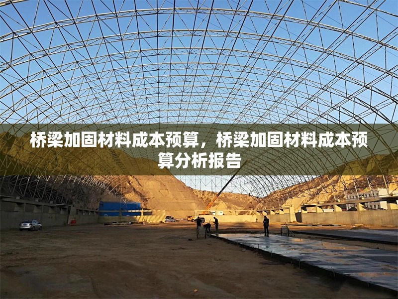 橋梁加固材料成本預算，橋梁加固材料成本預算分析報告