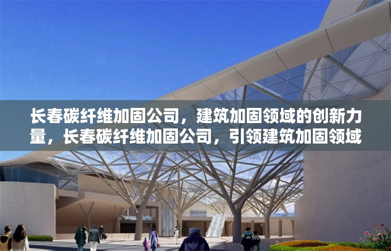 長春碳纖維加固公司，建筑加固領域的創新力量，長春碳纖維加固公司，引領建筑加固領域的創新先鋒 行業新聞