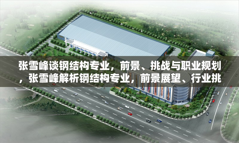 張雪峰談鋼結構專業，前景、挑戰與職業規劃，張雪峰解析鋼結構專業，前景展望、行業挑戰與職業發展路徑