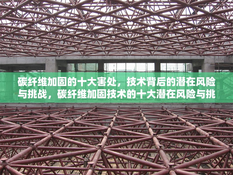 碳纖維加固的十大害處，技術背后的潛在風險與挑戰，碳纖維加固技術的十大潛在風險與挑戰 行業新聞