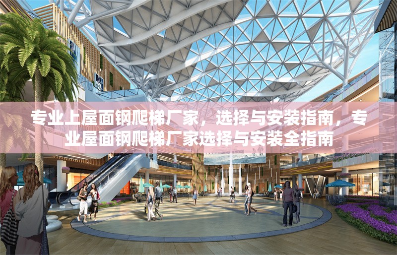 專業(yè)上屋面鋼爬梯廠家，選擇與安裝指南，專業(yè)屋面鋼爬梯廠家選擇與安裝全指南