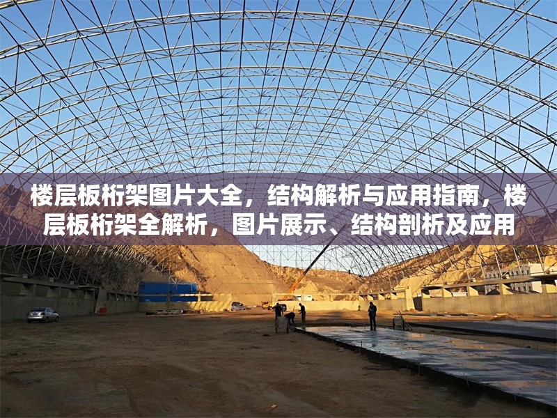 樓層板桁架圖片大全，結構解析與應用指南，樓層板桁架全解析，圖片展示、結構剖析及應用