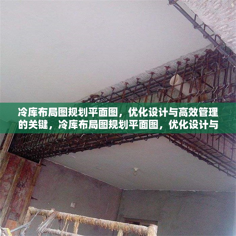 冷庫布局圖規劃平面圖，優化設計與高效管理的關鍵，冷庫布局圖規劃平面圖，優化設計與高效管理要點解析