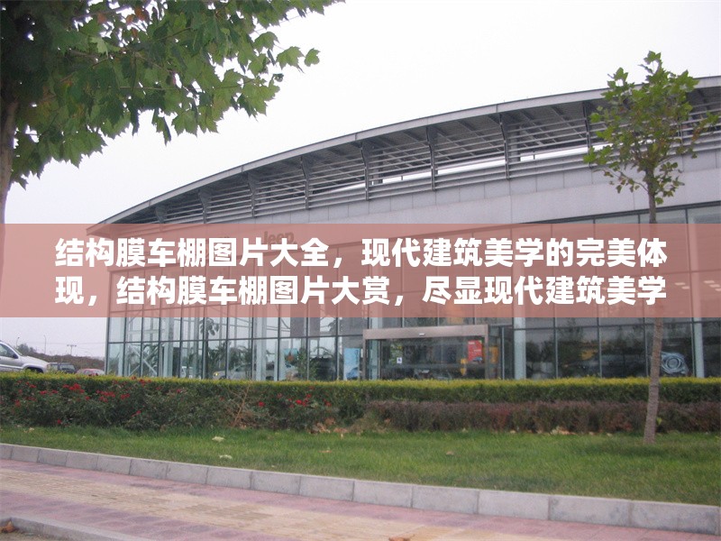 結構膜車棚圖片大全，現代建筑美學的完美體現，結構膜車棚圖片大賞，盡顯現代建筑美學魅力