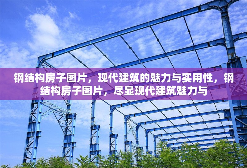 鋼結(jié)構(gòu)房子圖片，現(xiàn)代建筑的魅力與實(shí)用性，鋼結(jié)構(gòu)房子圖片，盡顯現(xiàn)代建筑魅力與 行業(yè)新聞