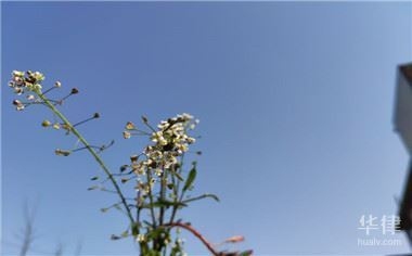 老舊房屋改造補貼申請條件，老舊房屋改造補貼申請，條件全解析 行業新聞 第3張
