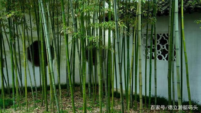 建筑模板材料環保性能比較,建筑模板材料環保性能對比分析 行業新聞 第4張 建筑模板材料環保性能比較,建筑模板材料環保性能對比分析 行業新聞 第4張
