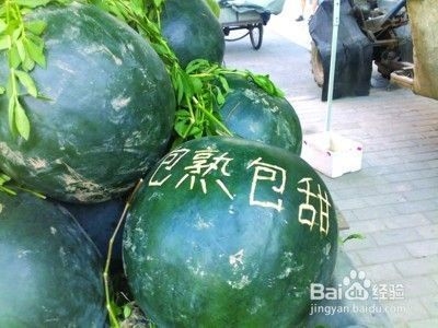 建筑英才網(wǎng)簡歷優(yōu)化技巧,建筑英才網(wǎng)簡歷優(yōu)化技巧,打造專業(yè)高效的求職簡歷 行業(yè)新聞 第2張 建筑英才網(wǎng)簡歷優(yōu)化技巧,建筑英才網(wǎng)簡歷優(yōu)化技巧,打造專業(yè)高效的求職簡歷 行業(yè)新聞 第2張
