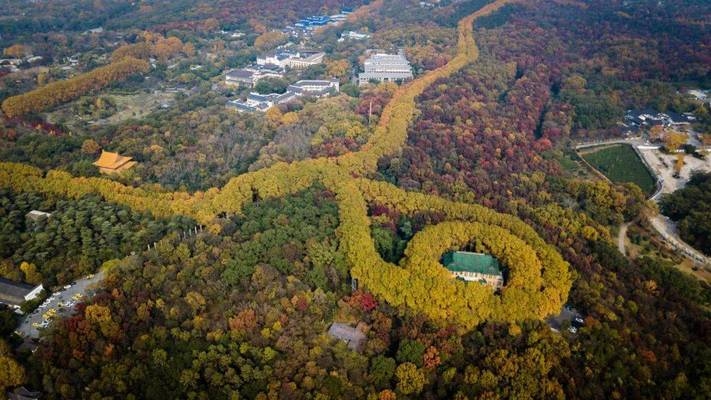 碳纖維加固在歷史建筑中的應(yīng)用，碳纖維加固技術(shù)在歷史建筑修復(fù)中的創(chuàng)新應(yīng)用與效果評(píng)估 行業(yè)新聞 第2張