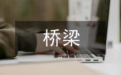橋梁加固工程成本效益分析,橋梁加固工程成本效益分析與優化策略研究 行業新聞 第3張 橋梁加固工程成本效益分析,橋梁加固工程成本效益分析與優化策略研究 行業新聞 第3張